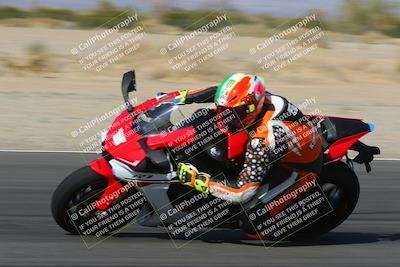 media/Feb-04-2023-SoCal Trackdays (Sat) [[8a776bf2c3]]/Turn 6 Inside (1025am)/